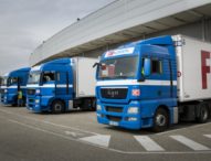 FM Logistic vlani významne rástla